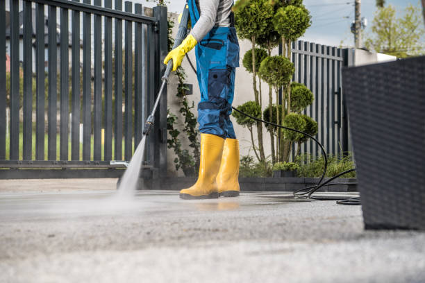 Best Roof Power Washing Services  in Satsuma, AL