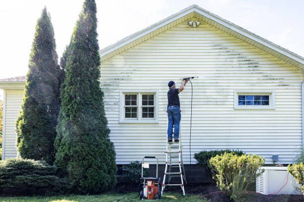 Professional Pressure Washing in Satsuma, AL