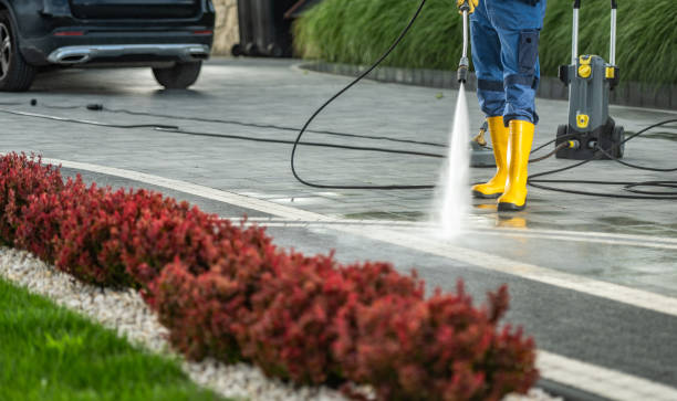 Best Deck Cleaning Services  in Satsuma, AL